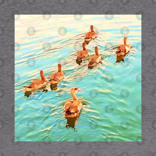 Ducks in the water,  duck, ducks,. swan, swans, sea, beach, summer, blue, bird, birds, swan, swans, spring, by PrintedDreams